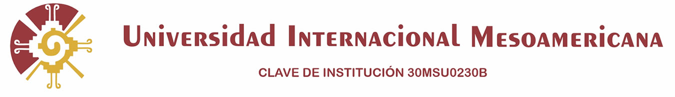 Campus Virtual UIM